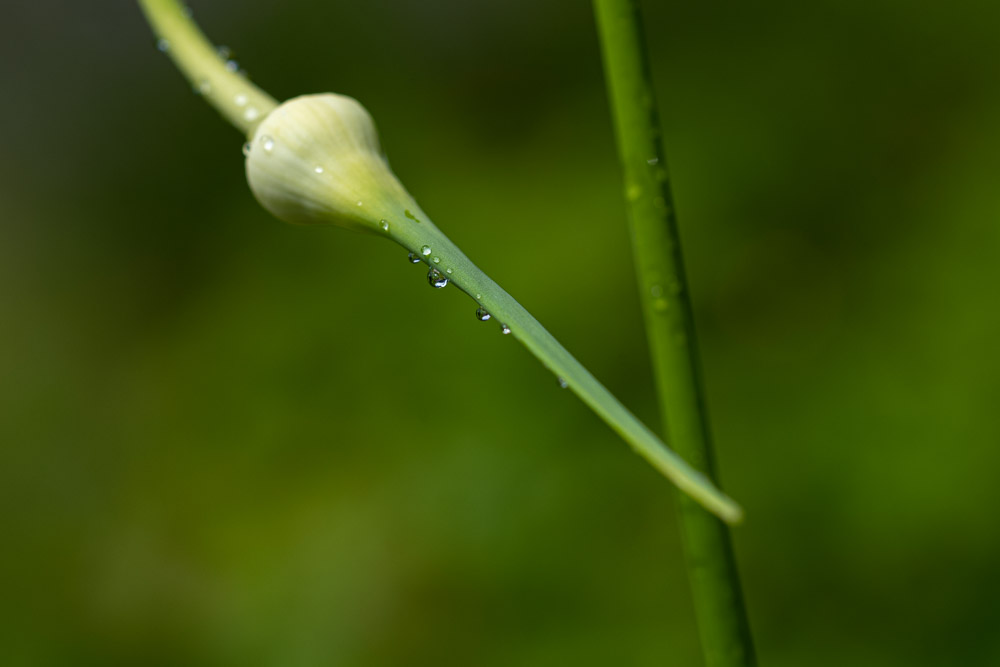 Platz 10 Michael Mayer